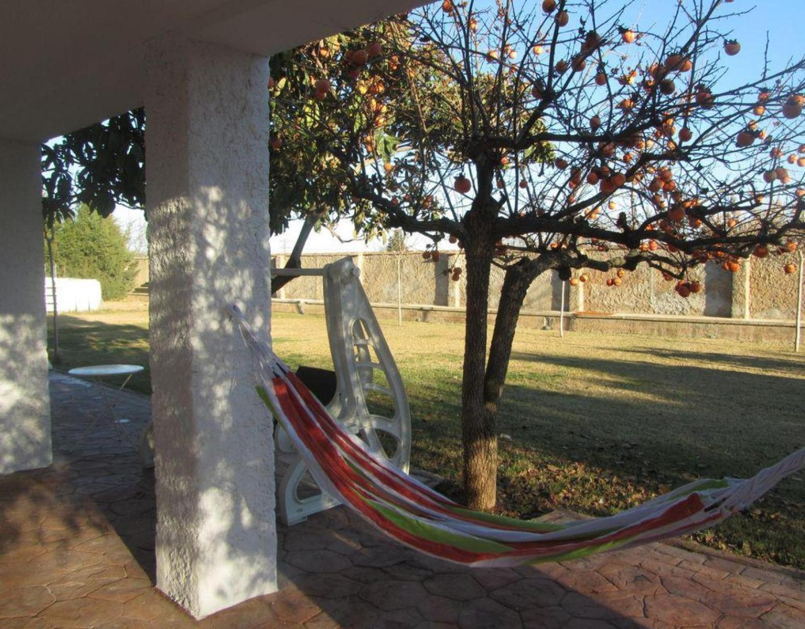 Villa Santa Ana Pedrola Exterior foto